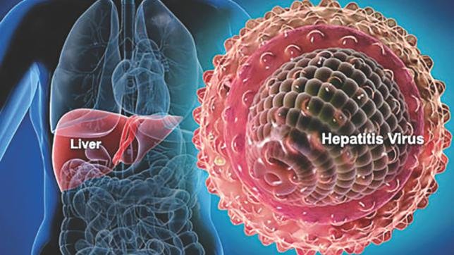 Hepatitis during pregnancy